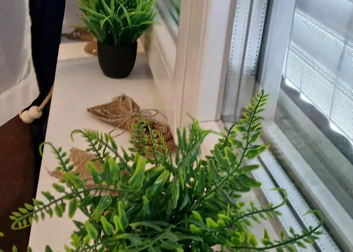 Natura Lux & Parking Free - Hill, Blizu Akva Parka Soko Banja